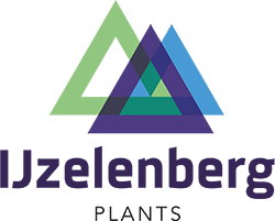 IJzelenberg Plants Logo
